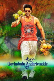 Govindudu Andarivaadele Afsomali
