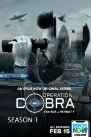 Operation Cobra: Season 1