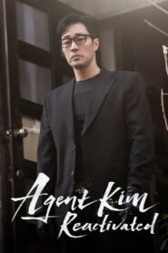Agent Kim Reactivated: Season 1