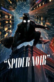 Spider-Noir Afsomali